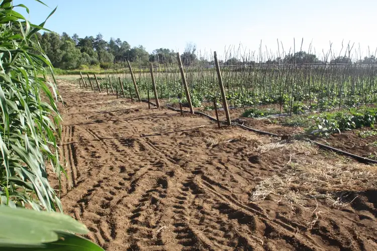 Fourth view of Homely house listing, 26 McFarlane Road, Waroona WA 6215