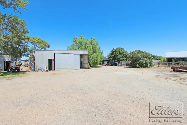 Fifth view of Homely rural property listing, 11 Rodgers Road, Dingee VIC 3571