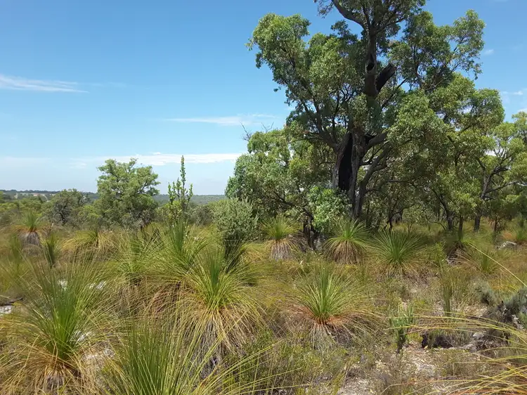 Fifth view of Homely rural property listing, 1350 TEATREE ROAD, Bindoon WA 6502