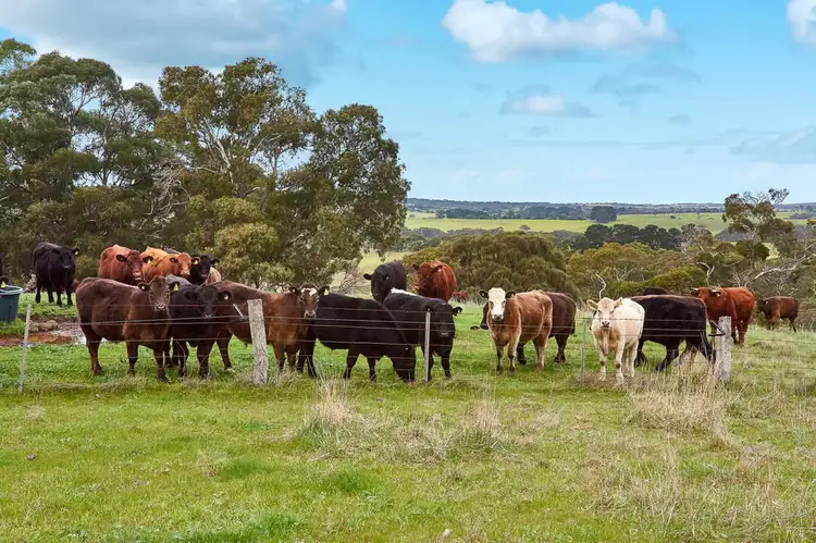 Second view of Homely rural property listing, 460 Tugwell Road, Victor Harbor SA 5211