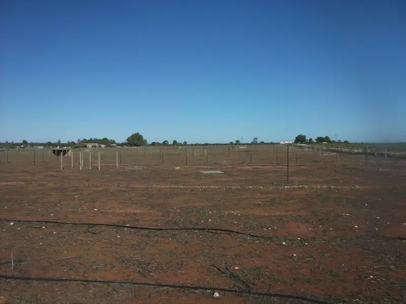 Main view of Homely rural property listing, Section 425 Caddy Road, Loveday SA 5345