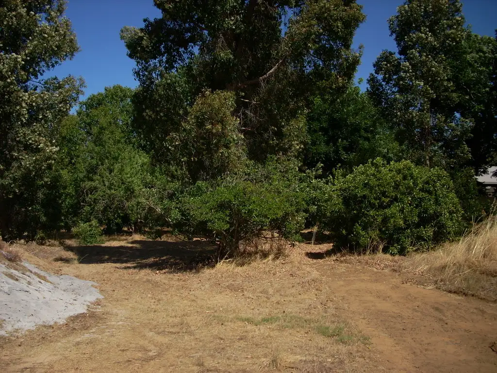 Main view of Homely land listing, 71 VICTORIA PARADE, Donnybrook WA 6239