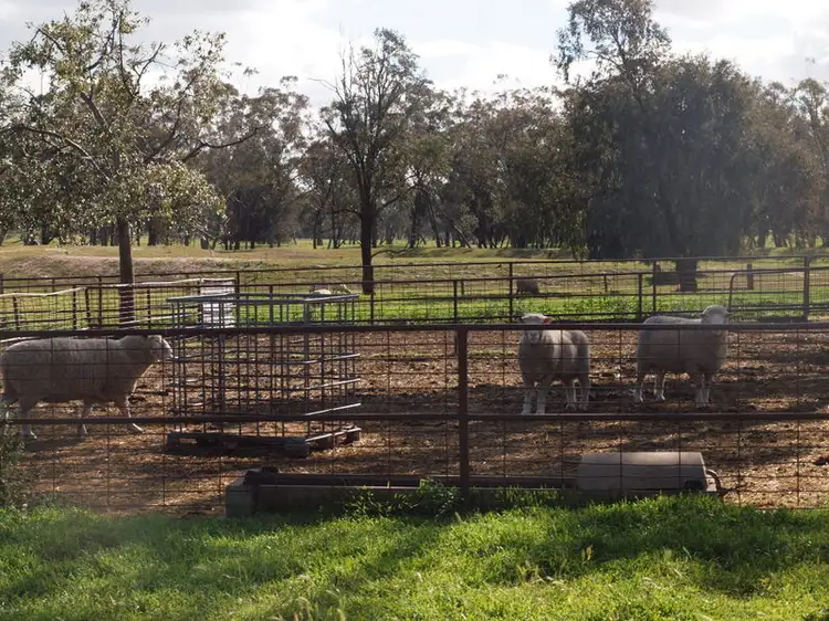 Sixth view of Homely rural property listing, - Yallambi, Bribbaree NSW 2594
