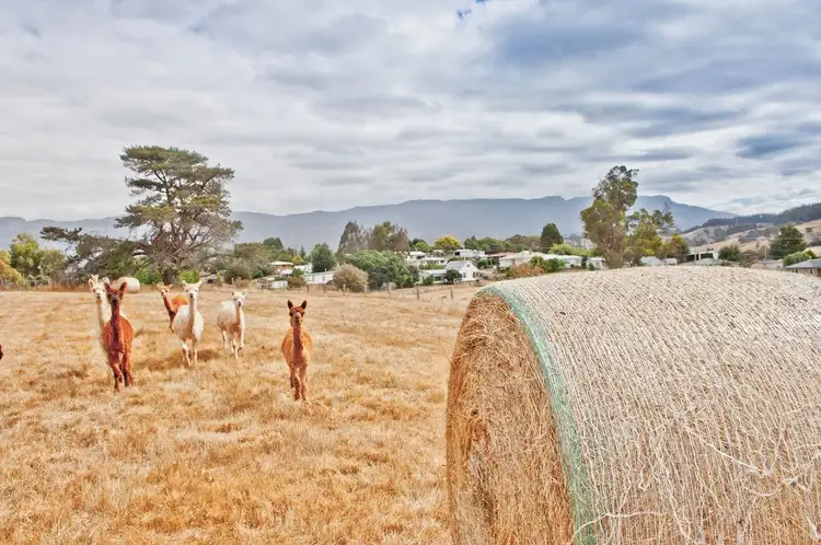 Sixth view of Homely land listing, 29 Caveside Road, Mole Creek TAS 7304