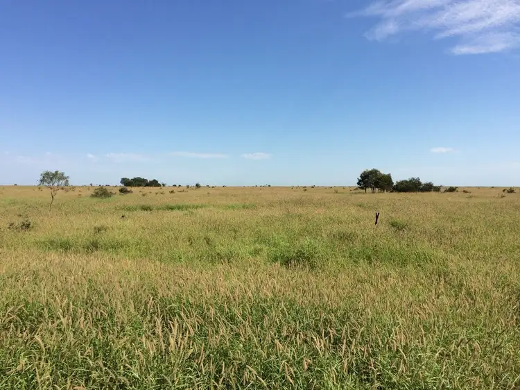 Third view of Homely rural property listing, 487 Hills Access Road, Dingo QLD 4702