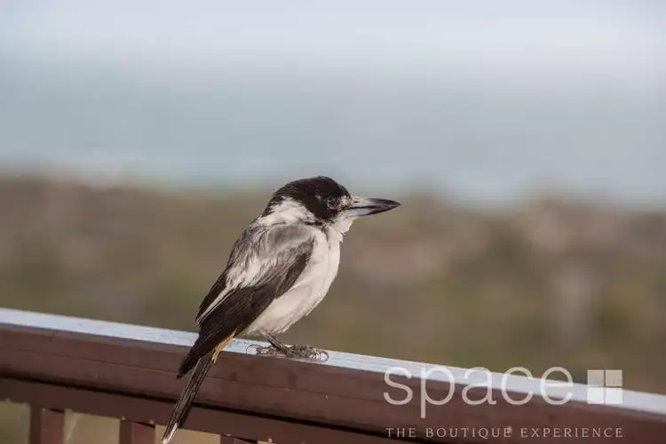 Sixth view of Homely house listing, 5 Warri Road, City Beach WA 6015
