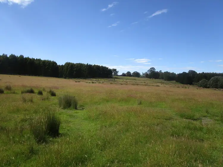 Sixth view of Homely rural property listing, - Loongana Road, Nietta TAS 7315