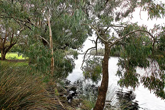 Fifth view of Homely land listing, Lot 324 Gallinago Loop, Coodanup WA 6210