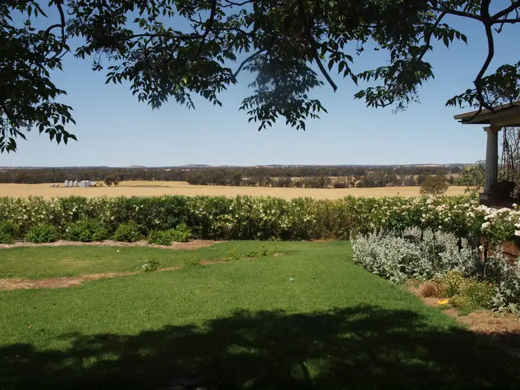 Sixth view of Homely rural property listing, - Sunny Slopes, Temora NSW 2666