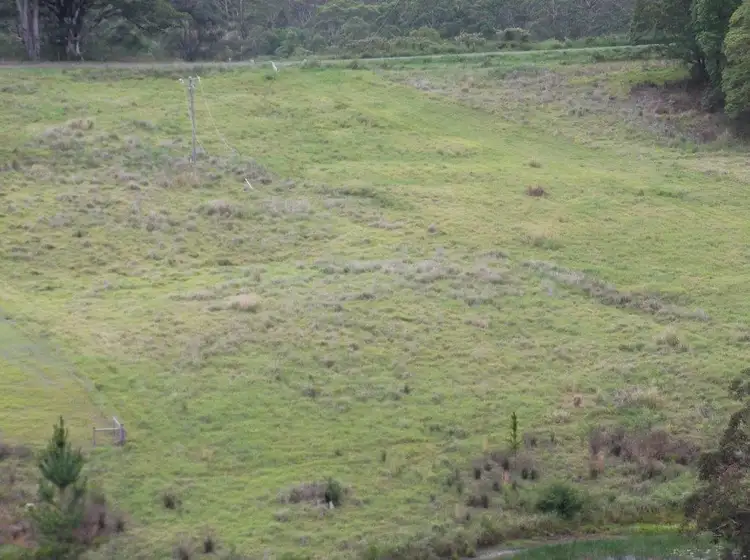 Seventh view of Homely land listing, 126 Gabal Road, Nimbin NSW 2480