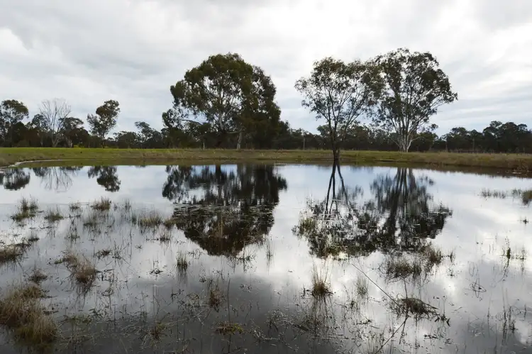 Third view of Homely rural property listing, 566 Yarrawonga Road, Mudgee NSW 2850