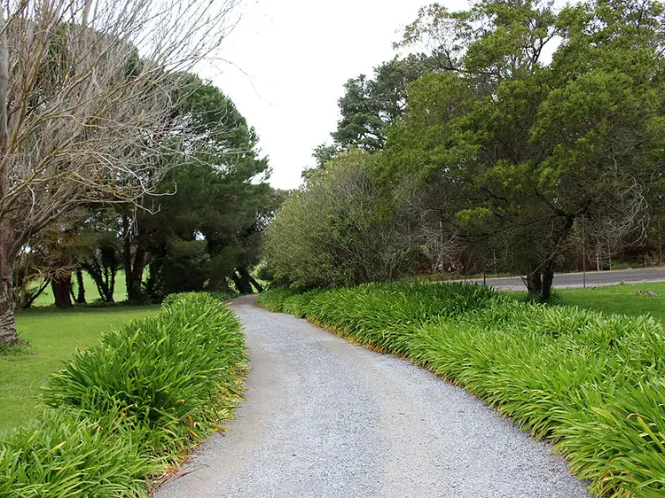 Third view of Homely rural property listing, Allotment 5 9058 Main South Rd, Delamere SA 5204