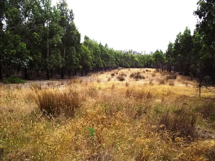 Fourth view of Homely rural property listing, 70 Blue Hills Road, Copping TAS 7174