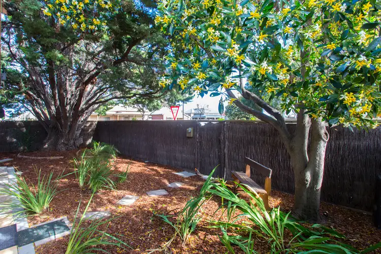 Third view of Homely unit listing, 4/19 Maclagan Avenue, Allenby Gardens SA 5009