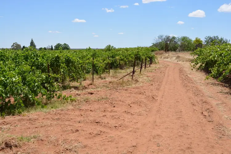 Sixth view of Homely rural property listing, Lot 2, 126 Ropers Road, Cardross VIC 3496