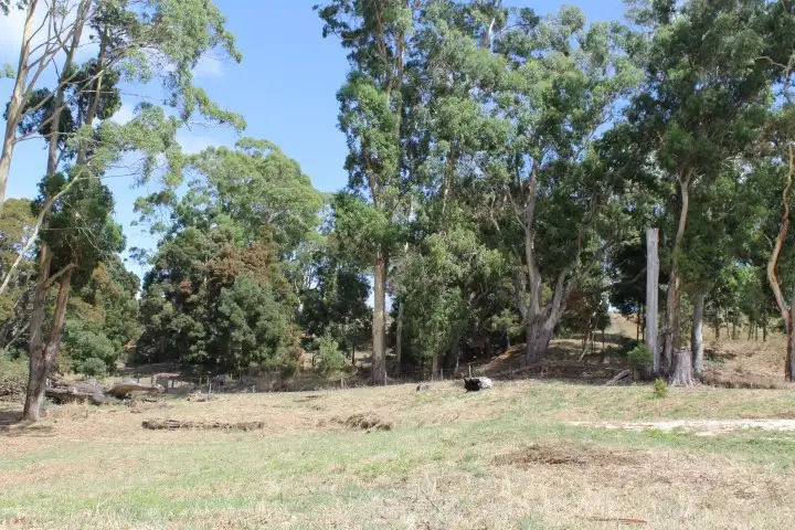 Main view of Homely land listing, 80 Tippetts Road, Mount Hicks TAS 7325