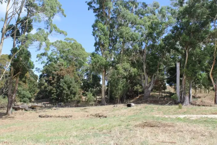 Main view of Homely land listing, 80 Tippetts Road, Mount Hicks TAS 7325