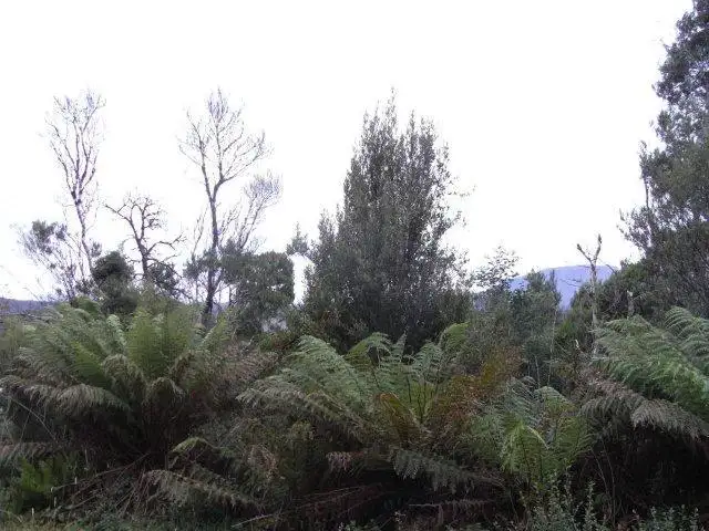 Fifth view of Homely land listing, . Crotty Street, Queenstown TAS 7467