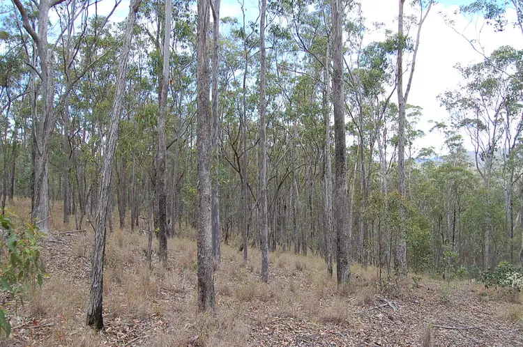 Fourth view of Homely rural property listing, Lot 70 Fairfield Road, Drake NSW 2469