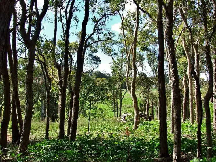 Fifth view of Homely land listing, 81/14 Mistover Place, Yallingup WA 6282