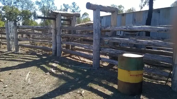 Third view of Homely rural property listing, 37 Goonalah Extention ROAD, Miles QLD 4415