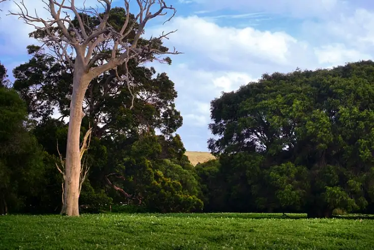 Third view of Homely land listing, 215/744 Burnside Park, Margaret River WA 6285