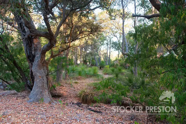 Seventh view of Homely house listing, 74 MacLaren Drive, Yallingup WA 6282