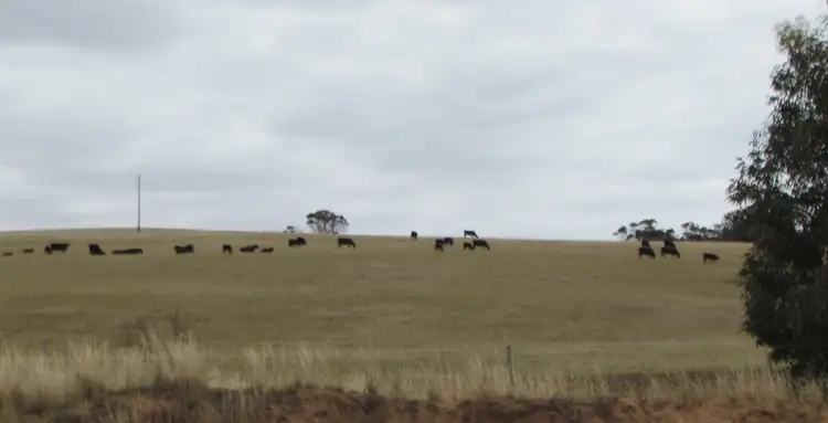 Fifth view of Homely rural property listing, L1 / L1468 CARNEY ROAD, Needilup WA 6336
