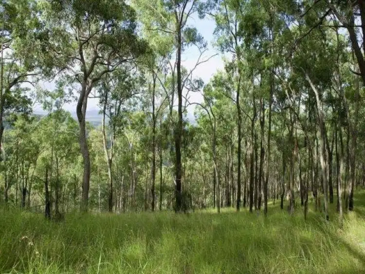 Fifth view of Homely land listing, 475 Campbells Pocket Road, Wamuran Basin QLD 4512