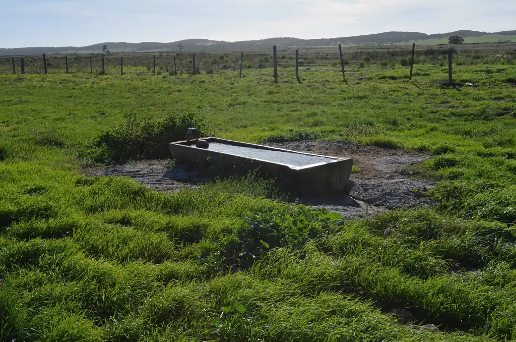 Main view of Homely rural property listing, 3667 Southern Ports Highway, Robe SA 5276