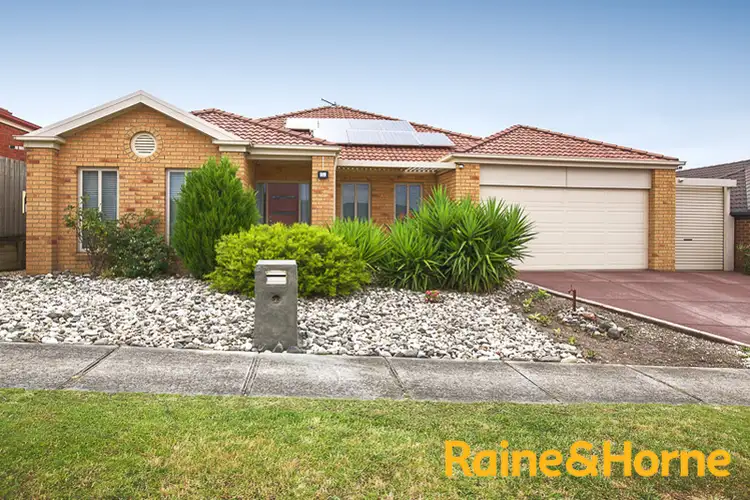 34 Olive Road, Lynbrook VIC 3975