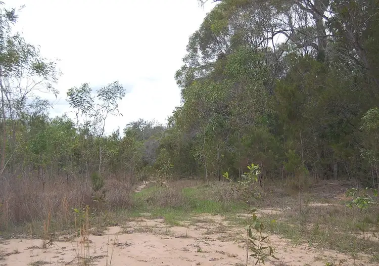 Sixth view of Homely rural property listing, Old Tenterfield Road, CAMIRA CREEK via, Camira NSW 2469