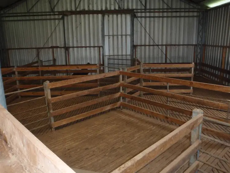 Fifth view of Homely rural property listing, 927 Yarrawonga Road, Berrigan NSW 2712