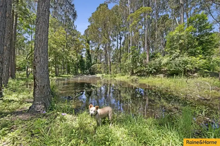 Fourth view of Homely house listing, 195 MOUNT MEE ROAD, Delaneys Creek QLD 4514