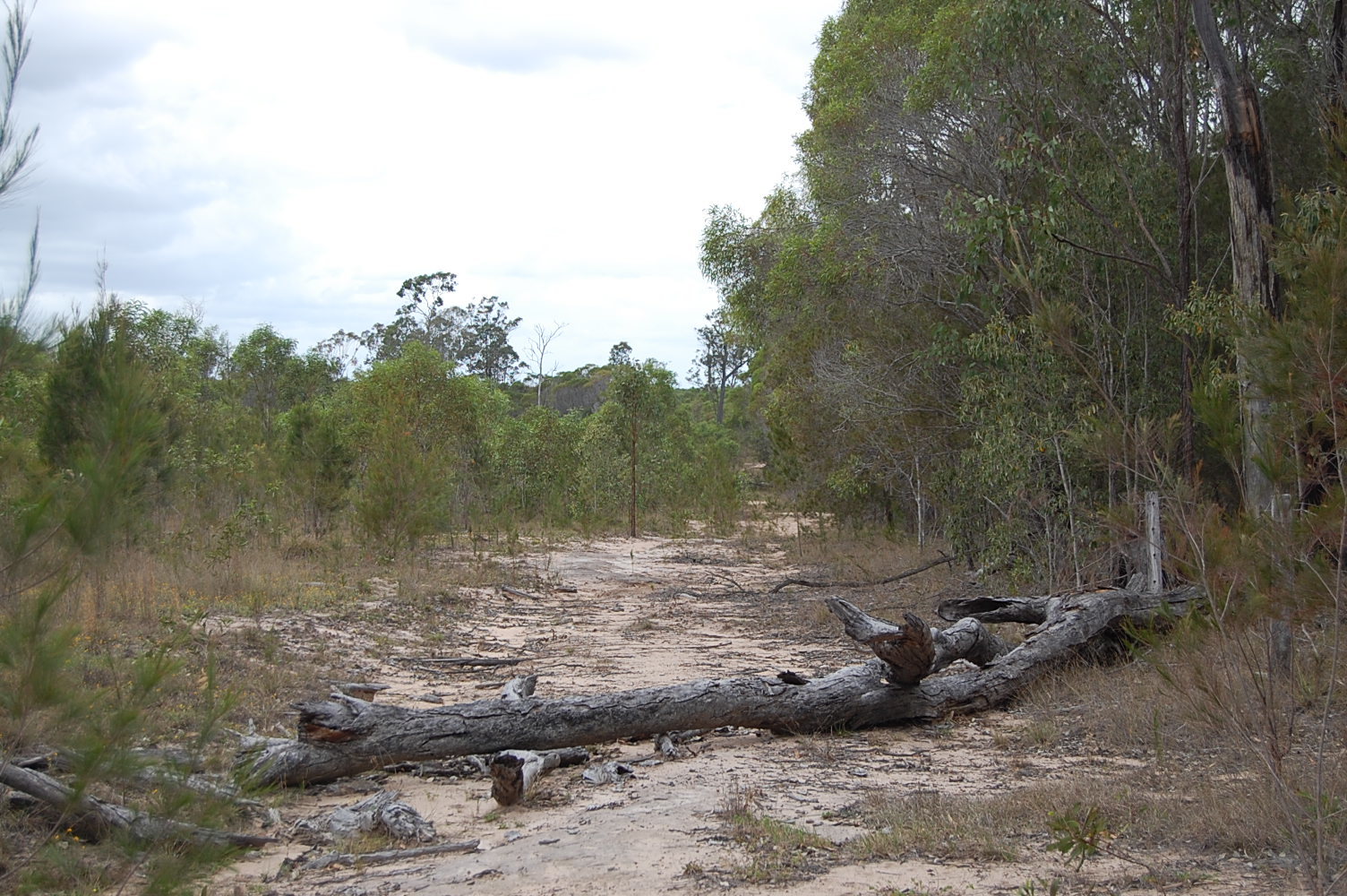 Fifth view of Homely rural property listing, Old Tenterfield Road, CAMIRA CREEK via, Camira NSW 2469