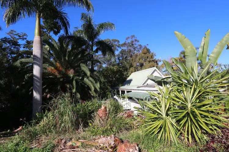 Seventh view of Homely house listing, 1245 Jiggi Road, Jiggi NSW 2480
