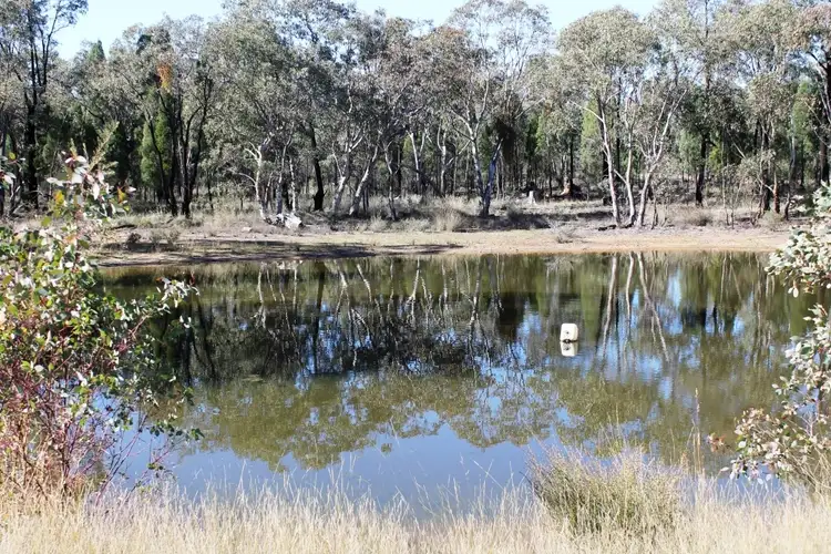 Sixth view of Homely rural property listing, 701 Cypress Drive, Mudgee NSW 2850