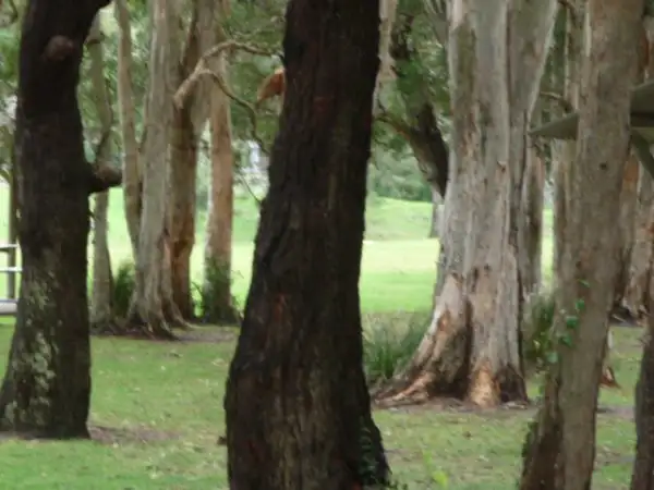 Fourth view of Homely land listing, 3A Anglers Drive, Anna Bay NSW 2316