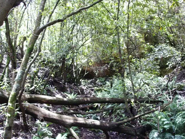 Seventh view of Homely land listing, Address available on request