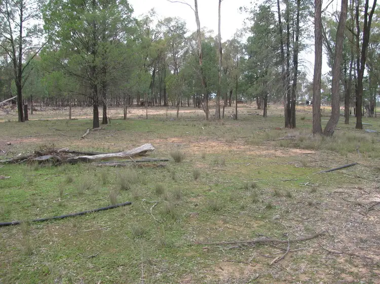 Seventh view of Homely land listing, 375 Tuppiari Rd, Jacks Creek NSW 2390