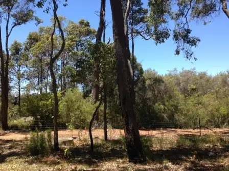 Fifth view of Homely land listing, 22 (Lot 340) Honeysuckle Glen, Cowaramup WA 6284