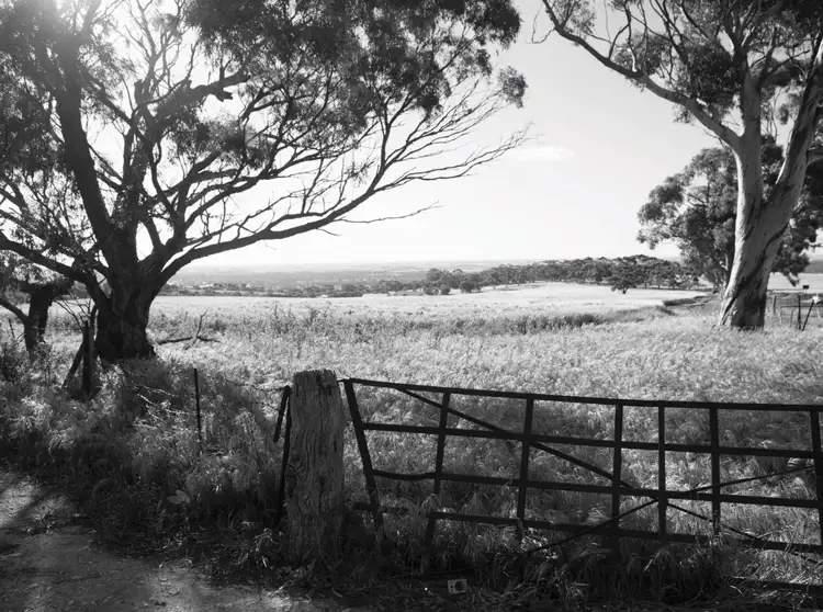 Second view of Homely land listing, Lot 113 Sullivan Grove, Gawler South SA 5118