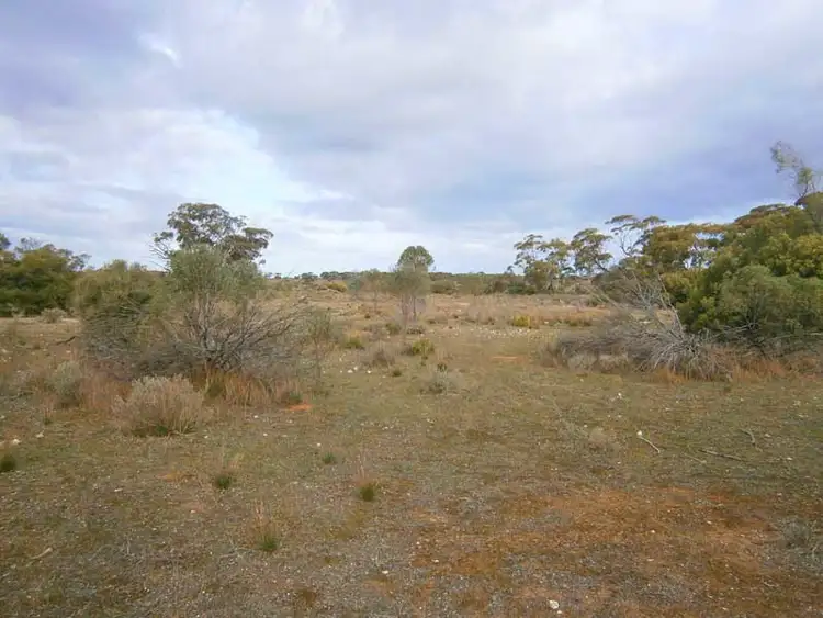 Fifth view of Homely rural property listing, Section 208 & 209 Stott Highway, Swan Reach SA 5354