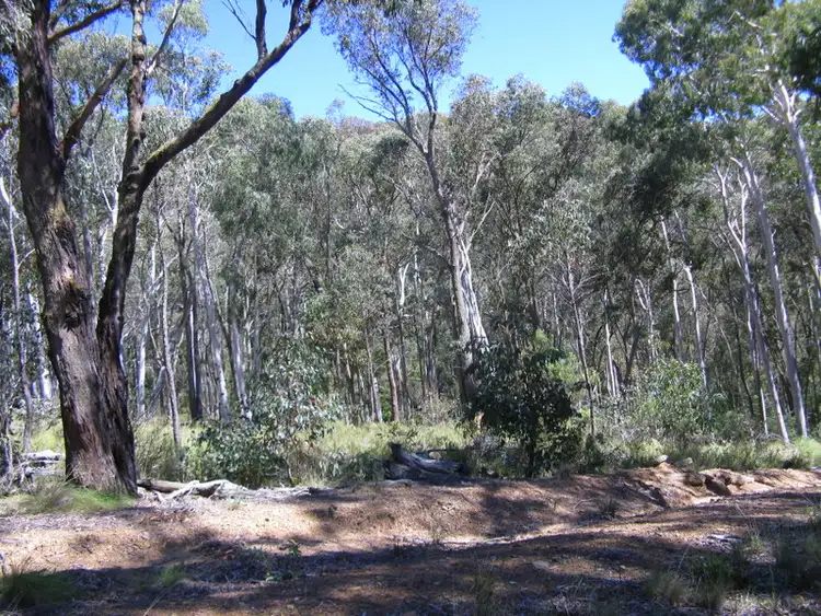 Sixth view of Homely rural property listing, 2751 Corryong Road, Benambra VIC 3900