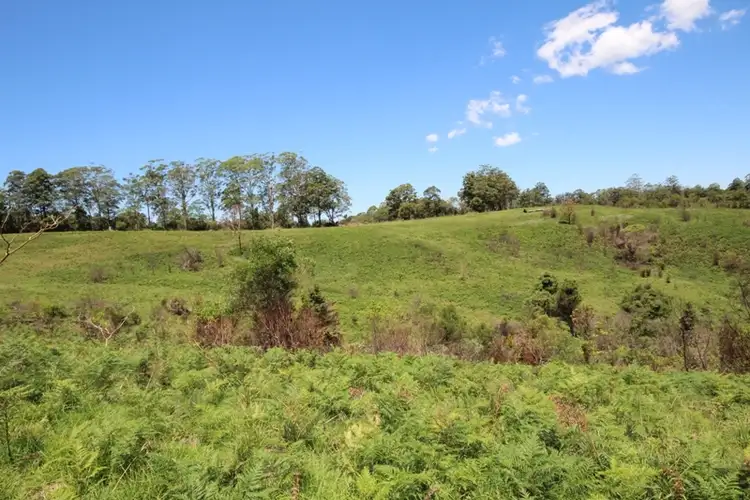 Sixth view of Homely rural property listing, 259 Tilbaroo Road, Elands NSW 2429