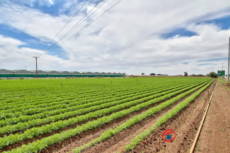 Main view of Homely land listing, 1387 - 1395. Port Wakefield Road, Waterloo Corner SA 5110