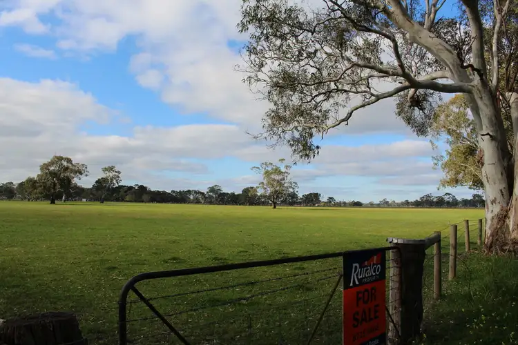 Second view of Homely rural property listing, 809 Cemetery Road, Kalangadoo SA 5278