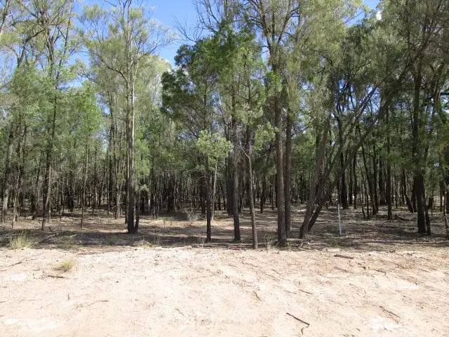 Sixth view of Homely rural property listing, LOT 19 EMU PARADE, Tara QLD 4421