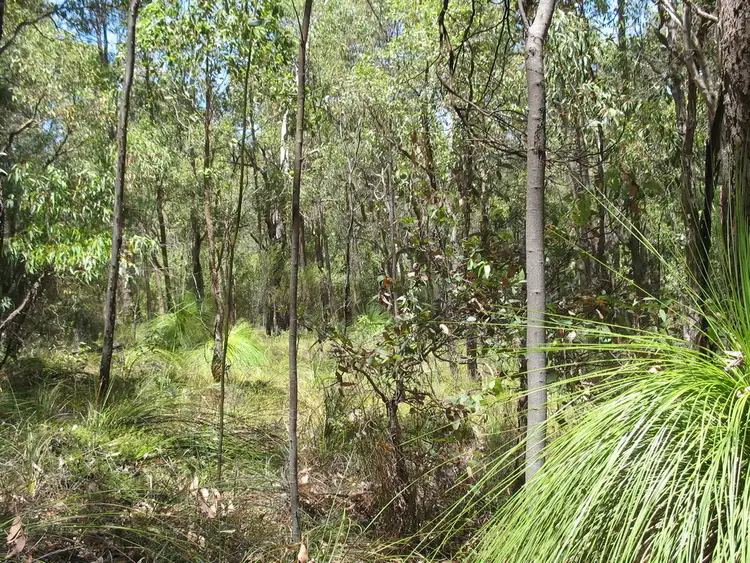 Sixth view of Homely land listing, Lot 180 Tsavo Street, Mundaring WA 6073
