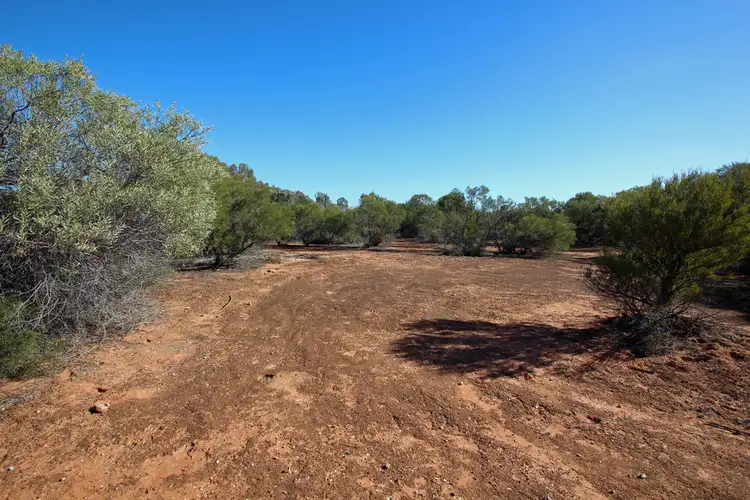 Seventh view of Homely land listing, 334 Pike Creek Road, Lyrup SA 5343